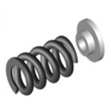 BFX-V1-073 2WD Central Differential Screw Spring